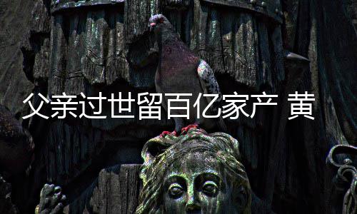 留百韬炫父亲富是黄子什么情况亿家产 过世
